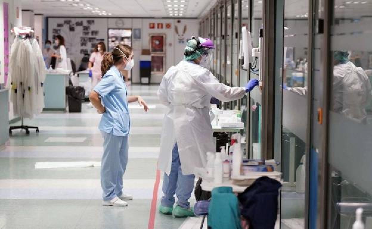 Coronavirus Euskadi Suma Positivos En Un D A La Cifra M S Alta